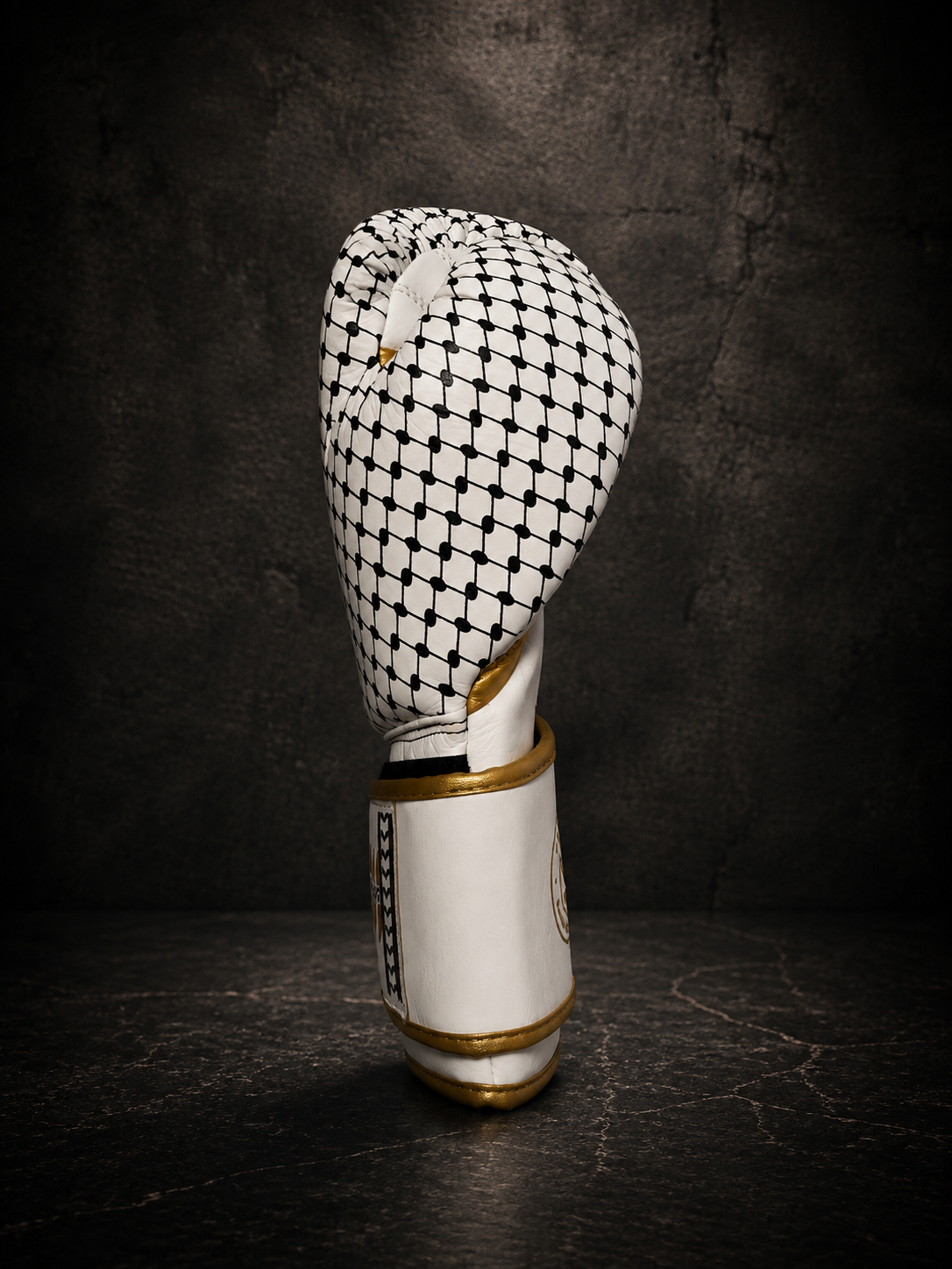 The Five Palestine Boxhandschuhe Limited Edition!