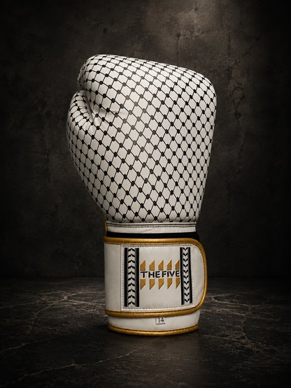 The Five Palestine Boxhandschuhe Limited Edition!