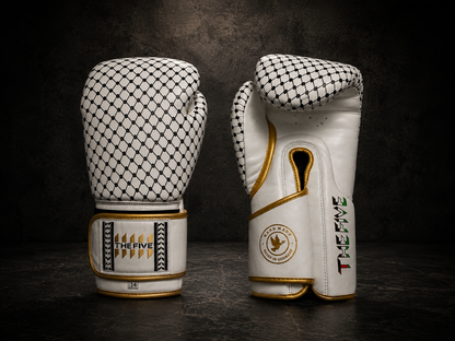 The Five Palestine Boxhandschuhe Limited Edition!