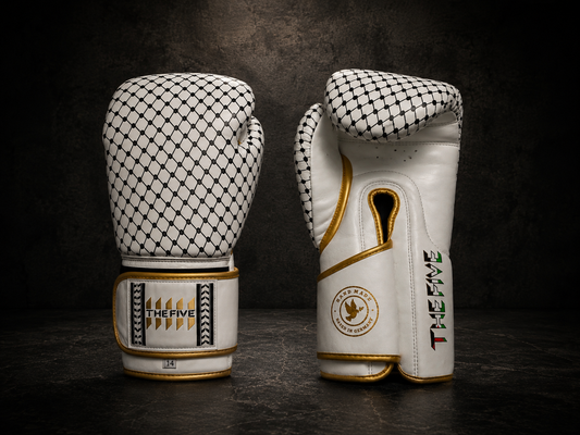 The Five Palestine Boxhandschuhe Limited Edition!